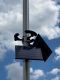 1980lm Solar LED Flag Pole Light